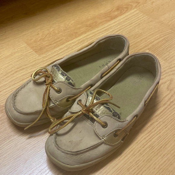 Leopard Sperry Angelfish - Picture 1 of 4